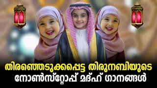 മനസ്സിനെ മദീനയിൽ ചെന്നെത്തിക്കുന്ന മദ്ഹ് ഗാനങ്ങൾ Selected Nonstop New Madh Songs 2024 [upl. by Nicki53]