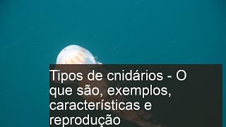 Tipos de CNIDÁRIOS  O que são exemplos características e reprodução [upl. by Garceau389]