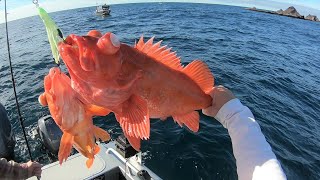 FIRST TIME Driving to FARALLON ISLANDS  Rockfish Lingcod Fishing [upl. by Naiva]