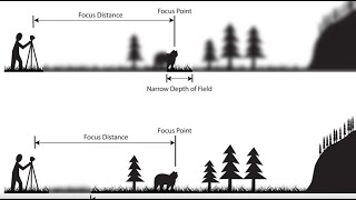 Depth of Field An Easy Overview 2023 [upl. by Hijoung]