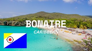 DISCOVER BONAIRE A CARIBBEAN GEM  Travel Guide And Things To Do 2024 bonaire [upl. by Mahoney]