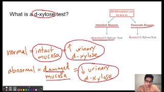 DXylose test [upl. by Finkelstein20]