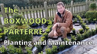 How to plant a formal boxwood parterre [upl. by Poore103]