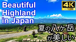 夏の八ヶ岳が美しい！２泊３日で観光できる１３ヶ所をご紹介します。【４K】 [upl. by Zaller927]