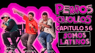 PERROS CRIOLLOS  SOMOS LATINOS CAP 56 [upl. by Verdha854]