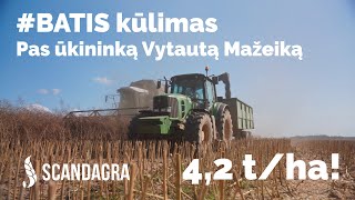 Ž Rapsų veislės BATIS kūlimas  SCANDAGRA [upl. by Goda]