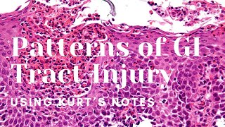 Patterns of GI Tract Injury Kurt’s Notes pathagonia [upl. by Inaluiak]