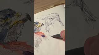 How to draw eagle ornate eagle hawk inktober sketch art painting [upl. by Schluter]