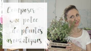 Comment associer les plantes aromatiques   SERIE Aromatiques en pot [upl. by Anaizit]