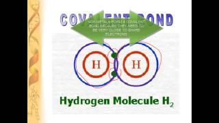 Basic Chemistry For Biology [upl. by Ibba]