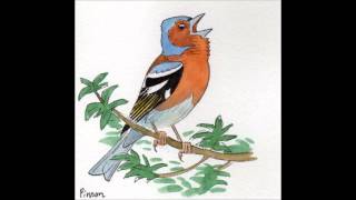 APPRENDRE LES CHANTS DOISEAUX  12 Le Pinson des arbres [upl. by Eneja]