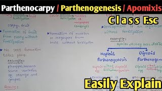 Parthenocarpy  Apomixis  Parthenogenesis  Seed Dormancy  Class 12 Biology [upl. by Eniowtna]