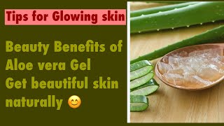 HOW TO APPLY ALOE VERA TO FACE FOR AMAZING RESULTS [upl. by Eiznekcam]