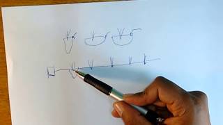 Instalação sistema de irrigação por gotejamento [upl. by Clava77]