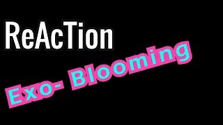 Ellis Reacts 85  Reaction EXOCBX 첸백시 花요일 Blooming Day MV [upl. by Eitsirhc]