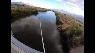 Fishing Lone Pine California 🎣 catchandrelease bassfishing lonepine fishing angler bass fish [upl. by Barnet]