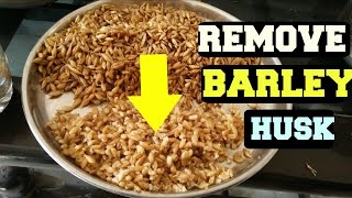 How To DE HULL BARLEYRemove HUSK From BarleyEasy Way To Remove HullHusk Of Barley [upl. by Toulon]