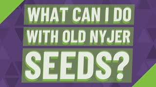 What can I do with old nyjer seeds [upl. by Arabel]