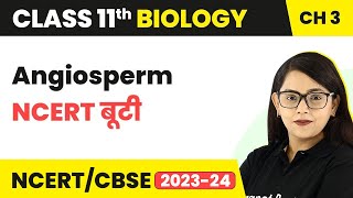 Angiosperm  NCERT बूटी  Plant Kingdom  Class 11 Biology Chapter 3  NCERTCBSE [upl. by Biagio18]