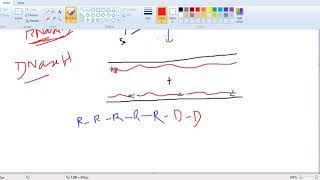 DNA REPLICATIONPrimase and RNase H [upl. by Erlond]