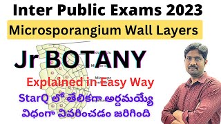 Microsporangium Wall Layers Explained in Easy Way  Jr Botany Most Important Questions [upl. by Christin726]