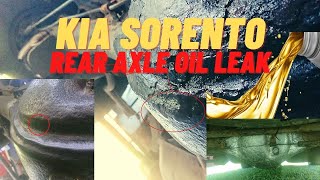 Kia Sorento rear axle oil leaking 64X [upl. by Maxentia]