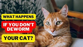 Why its Important to Deworm Cats  Deworming Cats  Cat Worms  Cat Grooming [upl. by Sidney]