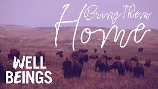 Montana Tribe Establishes Wild Buffalo Herd amp Heals Their Community  Bring Them Home  Well Beings [upl. by Merce]