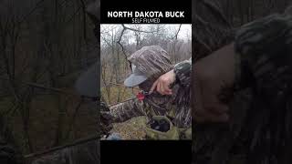 Self filmed North Dakota Buck whitetailbucks bowhunting deer [upl. by Derek]