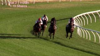 Werribee Jump Outs Dec 12 Trial 2 1100m [upl. by Eltsyrk]