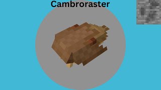 Prehistoric nature  Cambroraster species profile [upl. by Turpin674]