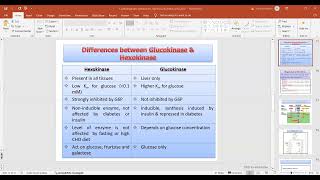 Differences between Glucokinase amp Hexokinase [upl. by Bibbie542]