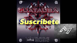 Plan B  GUATAUBA Doble Tono Audio Official ´´Musica Azules´´ [upl. by Arata]