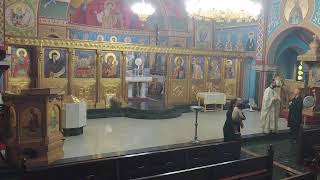 Assumption Greek Orthodox Church Live Stream [upl. by Demona]