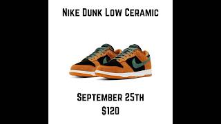 Nike Dunk Low Ceramic [upl. by Holtorf]