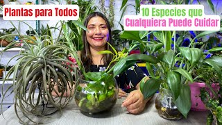 Las 10 Plantas de Interior Más Duraderas y Únicas que Debes Tener [upl. by Dnomal974]