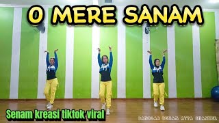 O MERE SANAM  BOLLYWOOD  TIKTOK VIRAL BY sanggarsenamatya8917 [upl. by Netsoj]