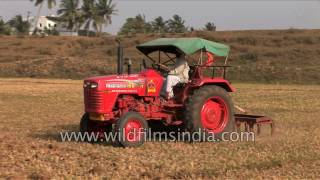 Tractor ploughs Indian agricultural field  mechanized agriculture in India [upl. by Rawdan]