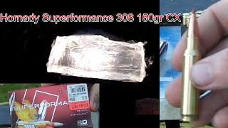 Hornady Superformance 308 winchester 150gr CX clear ballistics gel test and velocity [upl. by Valli]