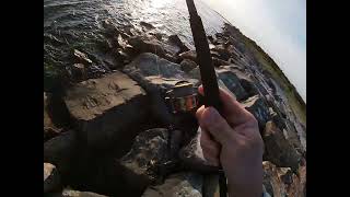 Bluefish and Stipers jetty fishing [upl. by Marcelle]