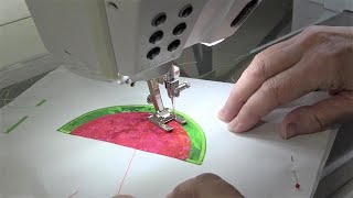 Embrilliance Quick Tip 6  How to create cutting files from applique embroidery designs [upl. by True749]