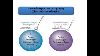 ionexchange chromatography [upl. by Leasa]