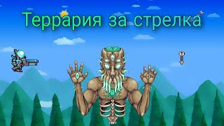 Terraria за стрелка  Схема игры за стрелкаTerraria 144 [upl. by Elocim254]