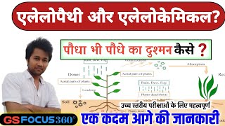 what is Allelopathy and allelochemicals functional properties of plants what is allelochemicals [upl. by Mckale]