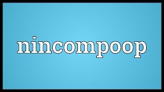 Nincompoop Meaning [upl. by Ecissej]