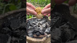 Can hairy eggs be eaten Chinese Mountain Forest Life and Food Moo TikTokFYP [upl. by Lachish]