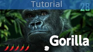 12Switch  Gorilla Tutorial HD 1080P [upl. by Repooc]