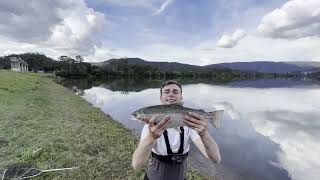 TROUT Fishing with Powerbait and Worms using Sinker and a Float trout fishing troutfishing [upl. by Caresa]