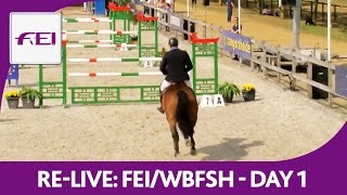 ReLive  FEIWBFSH  World Breeding Jumping Chps f Young Horses  6year oldhorses [upl. by Gladi940]