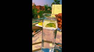 Detox Water Weight Loss Recipe weightlossrecipes detoxwater [upl. by Akemat]